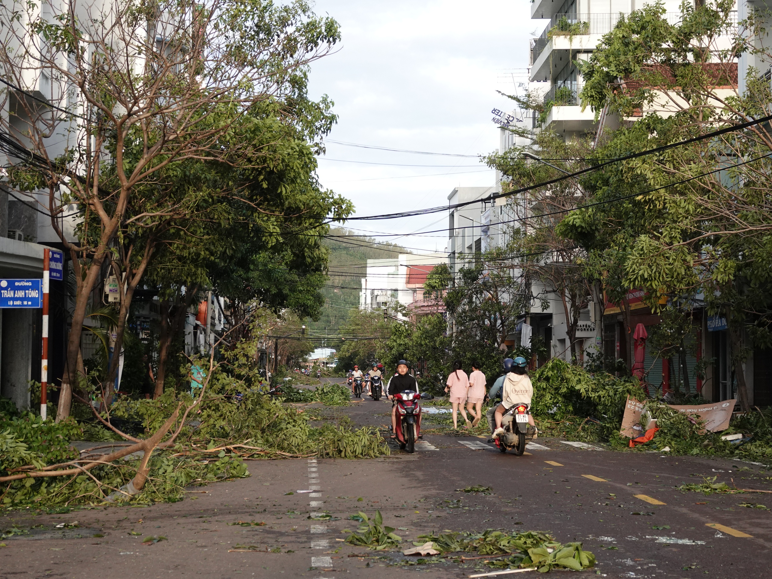 - Ảnh 2. - Ảnh 2.