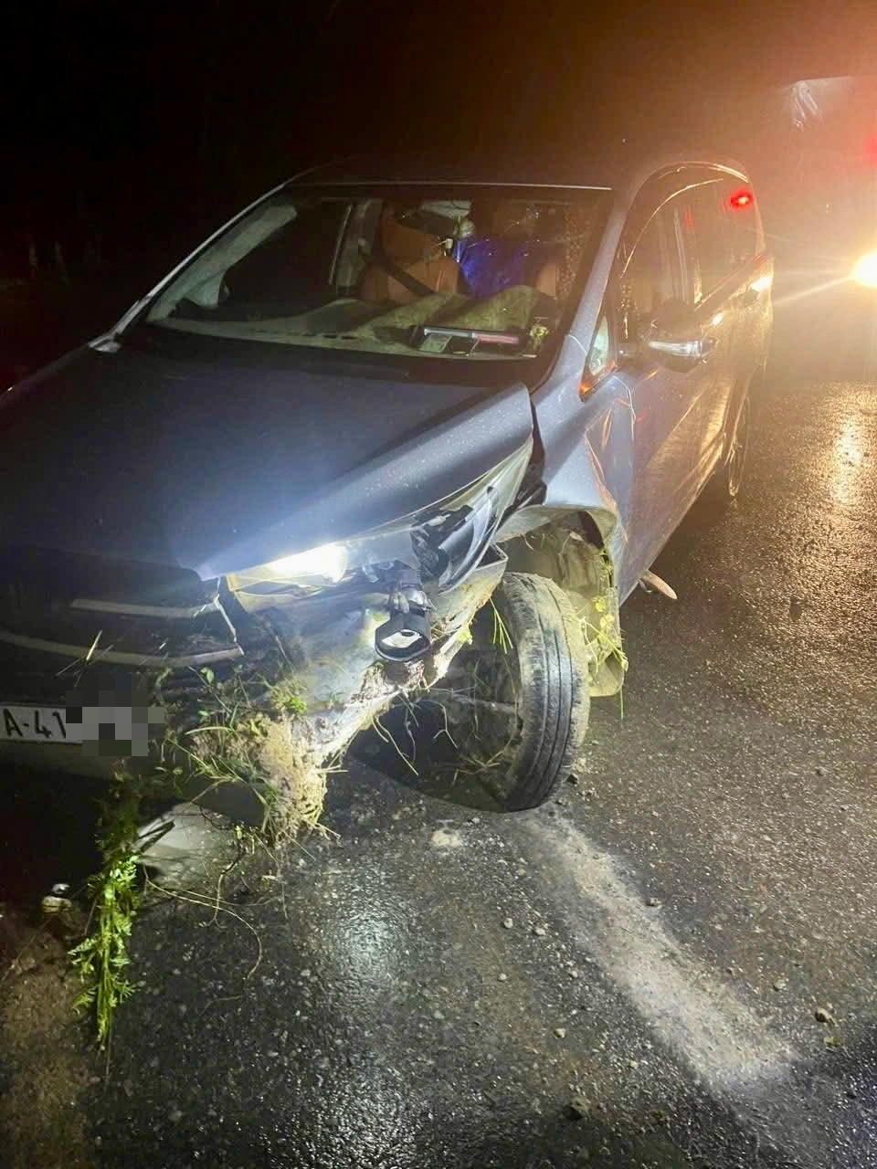 TP.HCM: Trộm chó bỏ lại xe ô tô có cả biển số xanh để thoát thân - Ảnh 2.