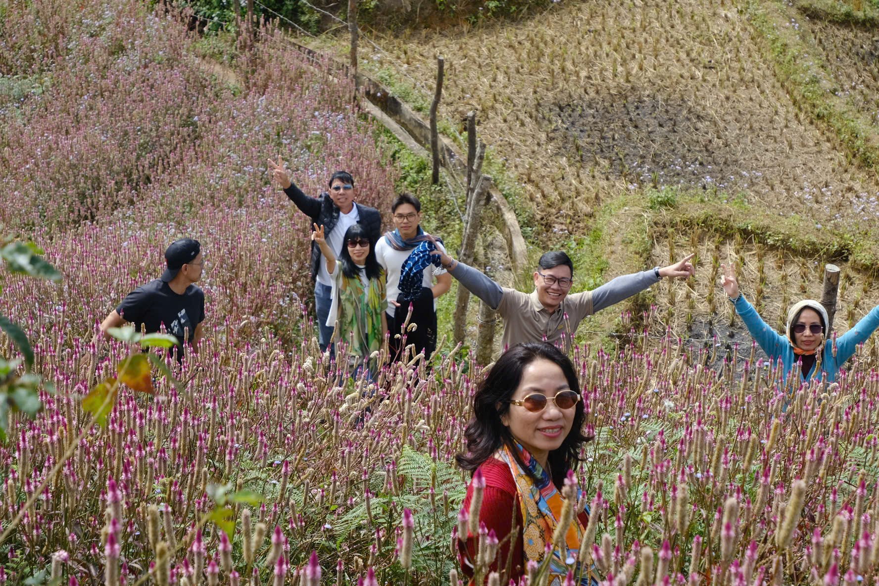 Lạc lối ở 'Đồi mâm xôi' - Ảnh 2.