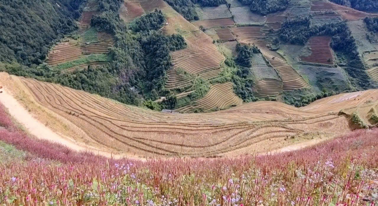 Lạc lối ở 'Đồi mâm xôi' - Ảnh 1.