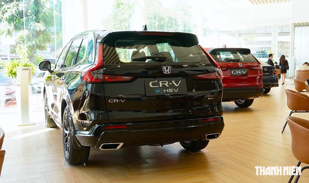 Các ‘ông lớn’ rục rịch lắp ráp, thời của xe hybrid tại Việt Nam đã đến? - Ảnh 2.