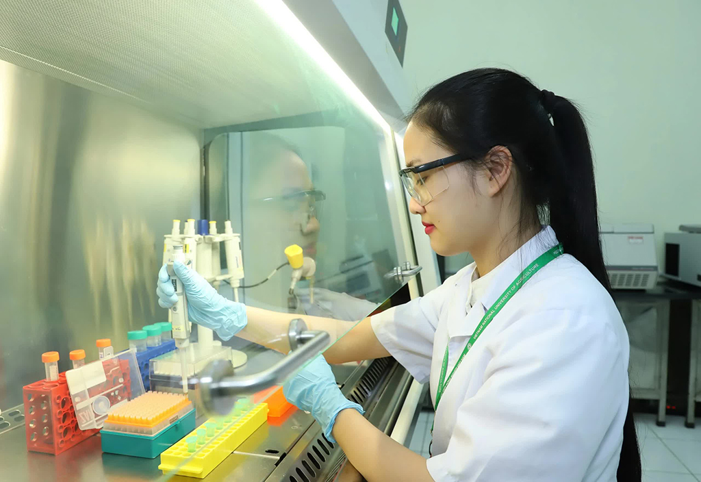 Niềm tin gửi Đảng về chuyển đổi số và KH - CN trong phát triển quốc gia - Ảnh 2. Niềm tin gửi Đảng về chuyển đổi số và KH - CN trong phát triển quốc gia - Ảnh 2.