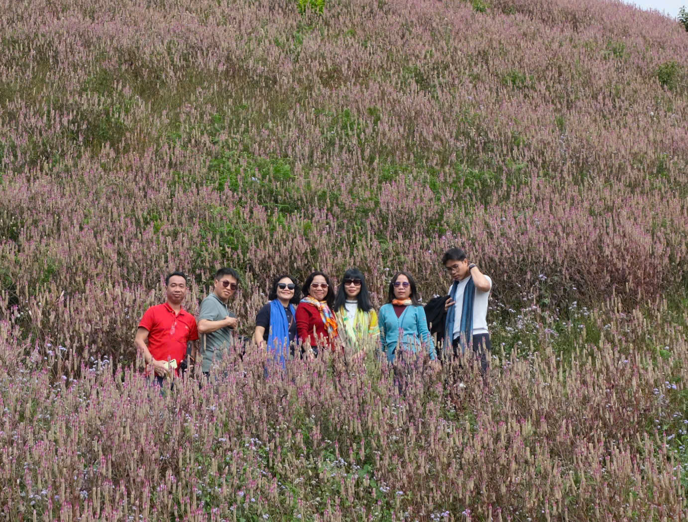 Lạc lối ở 'Đồi mâm xôi' - Ảnh 3.