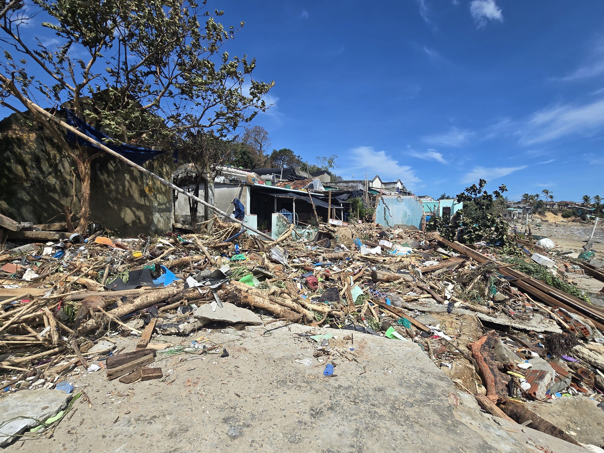 - Ảnh 3. - Ảnh 3.