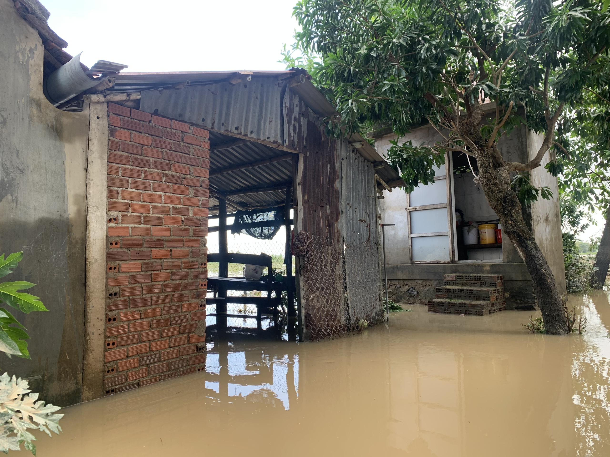 Xóm nhỏ bị cô lập, người dân phải dùng ghe tiếp tế lương thực sau bão Kalmaegi - Ảnh 8.