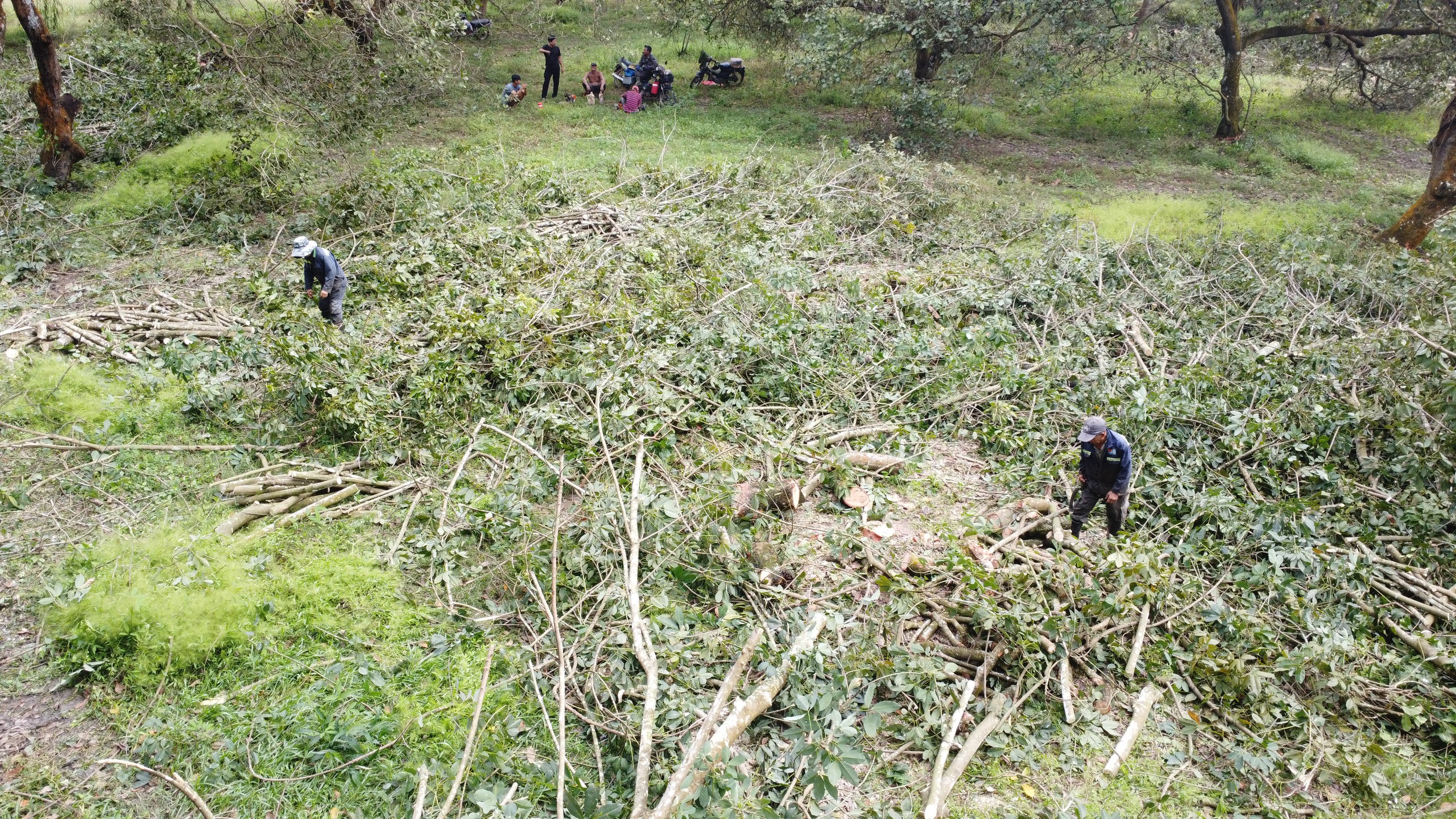 Nhận 21 tỉ đồng, bàn giao ngay đất dự án cao tốc Gia Nghĩa - Chơn Thành- Ảnh 2. Nhận 21 tỉ đồng, bàn giao ngay đất dự án cao tốc Gia Nghĩa - Chơn Thành- Ảnh 2.