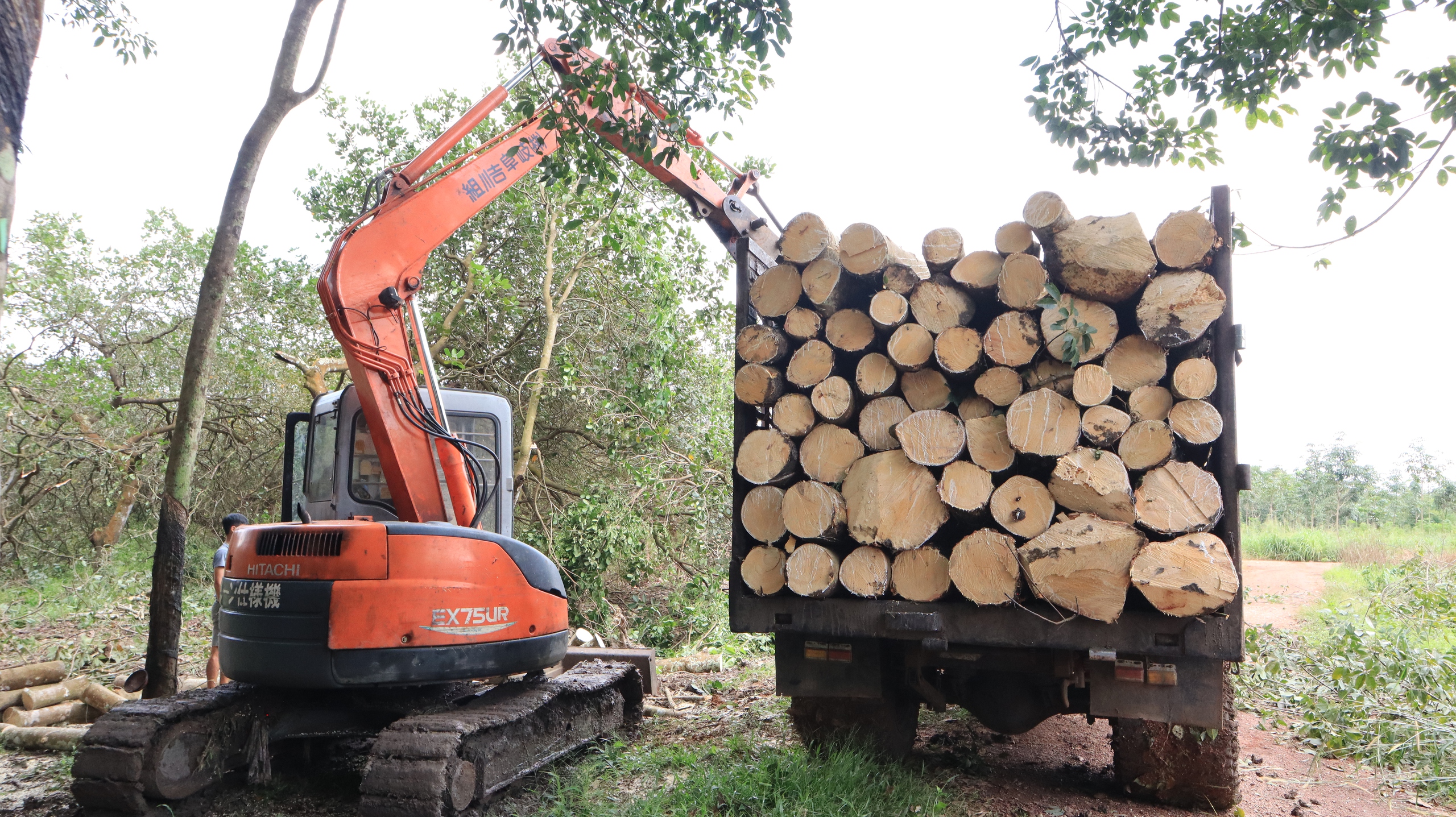 Nhận 21 tỉ đồng, bàn giao ngay đất dự án cao tốc Gia Nghĩa - Chơn Thành- Ảnh 4. Nhận 21 tỉ đồng, bàn giao ngay đất dự án cao tốc Gia Nghĩa - Chơn Thành- Ảnh 4.