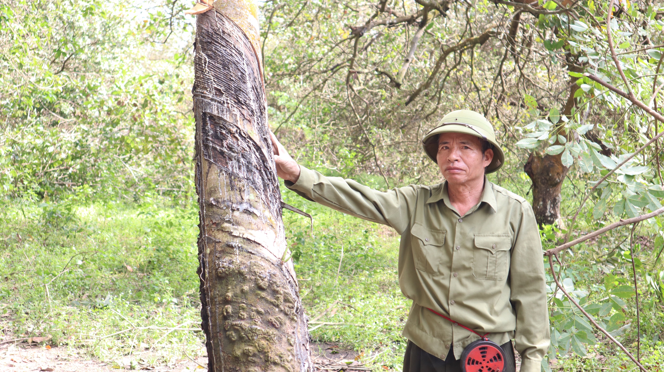 Nhận 21 tỉ đồng, bàn giao ngay đất dự án cao tốc Gia Nghĩa - Chơn Thành- Ảnh 5. Nhận 21 tỉ đồng, bàn giao ngay đất dự án cao tốc Gia Nghĩa - Chơn Thành- Ảnh 5.