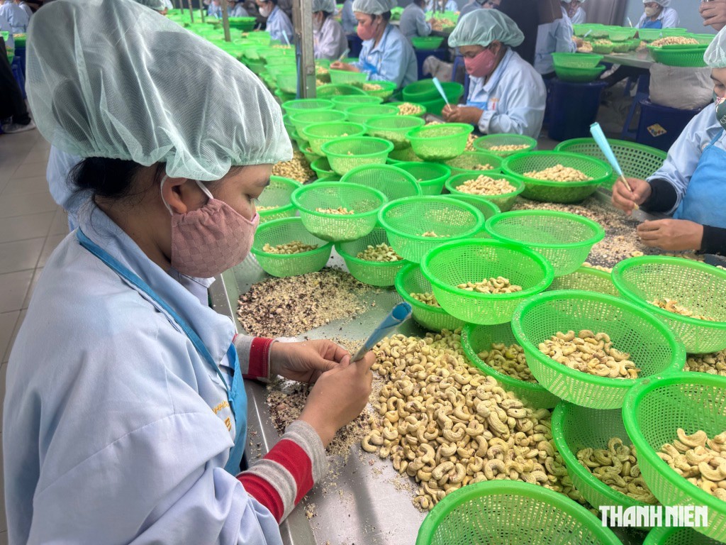 Nhập si&ecirc;u ng&agrave;nh điều liệu c&oacute; bất thường?  - Ảnh 2.