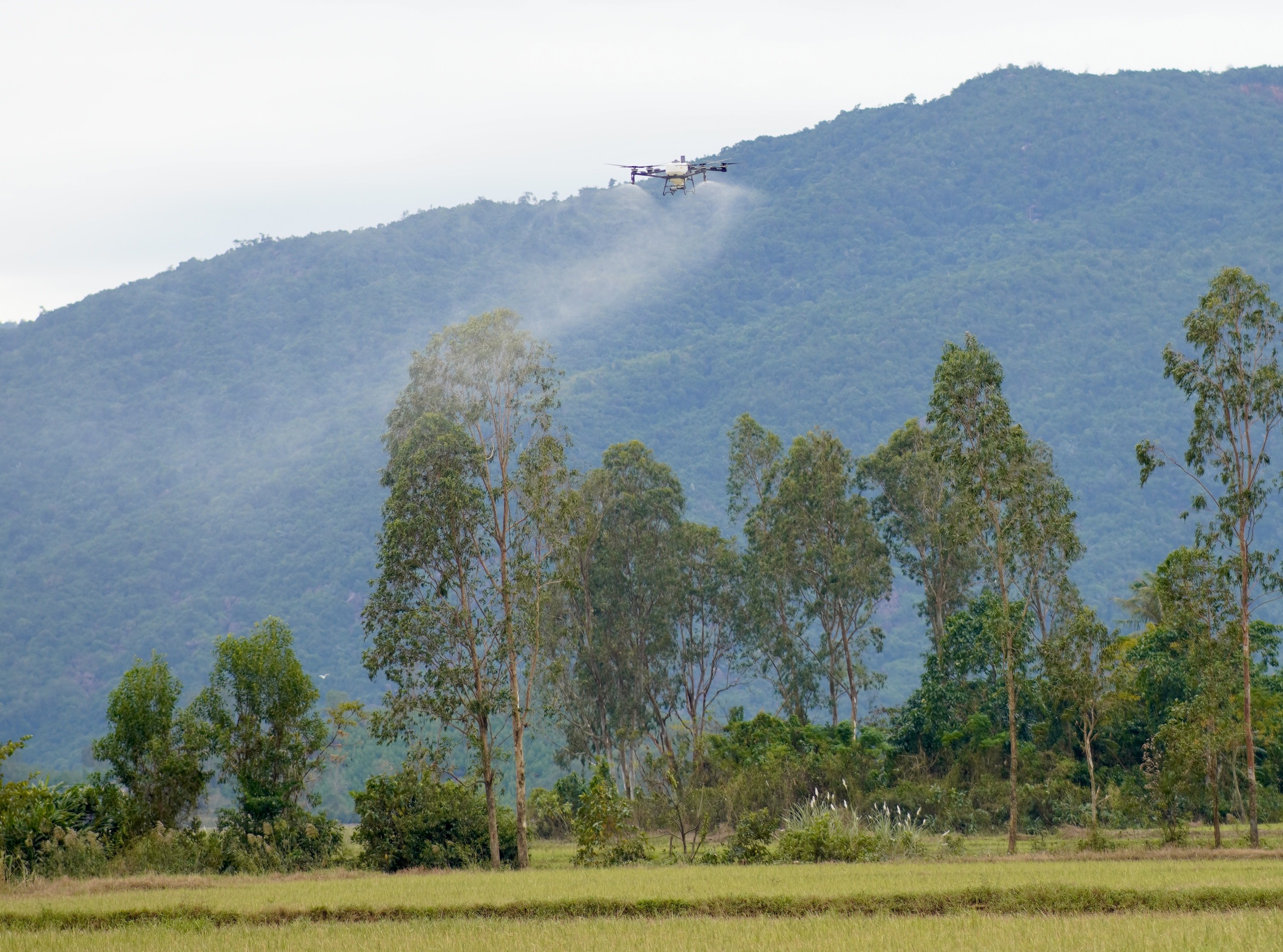 Nhóm drone đi cứu trợ lần 2: Thêm 1 điều người ở vùng lũ cần lúc này  - Ảnh 3.