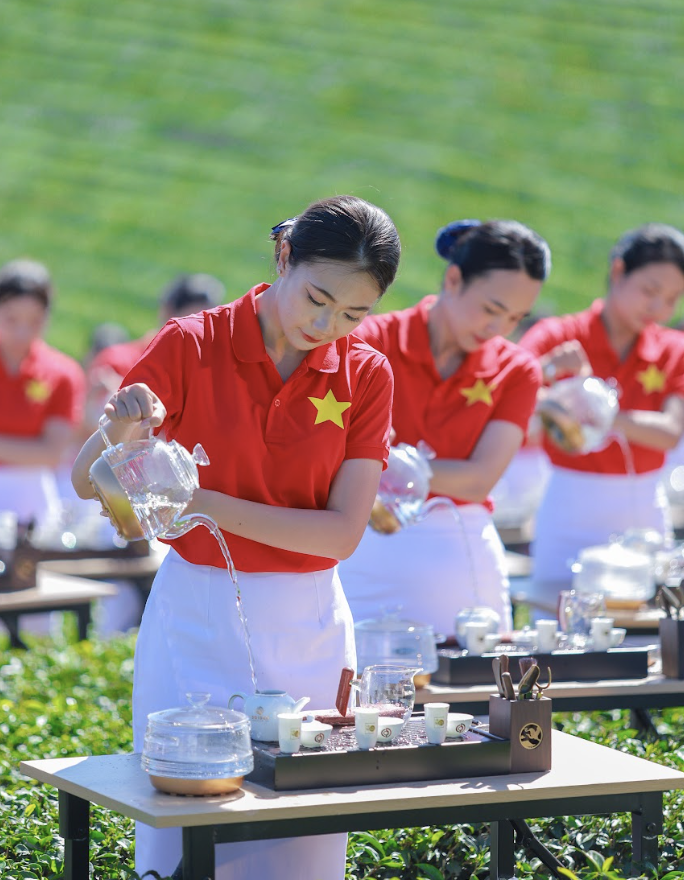 1.111 'Trà nương' đồng diễn dâng trà trên đồi chè, đề cử Kỷ lục Việt Nam - Ảnh 1.