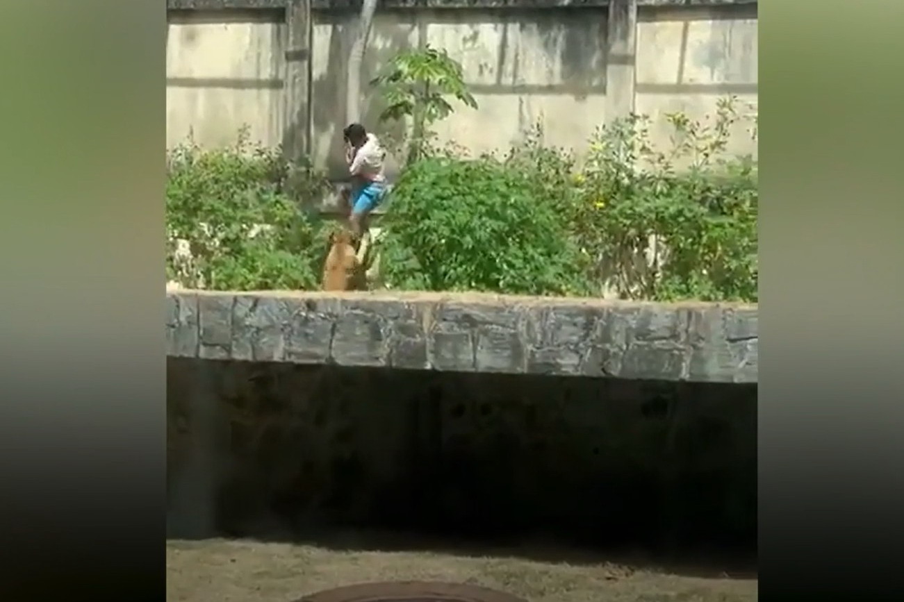 Thanh niên bị sư tử vồ chết ở Brazil gây chấn động dư luận - Ảnh 1.