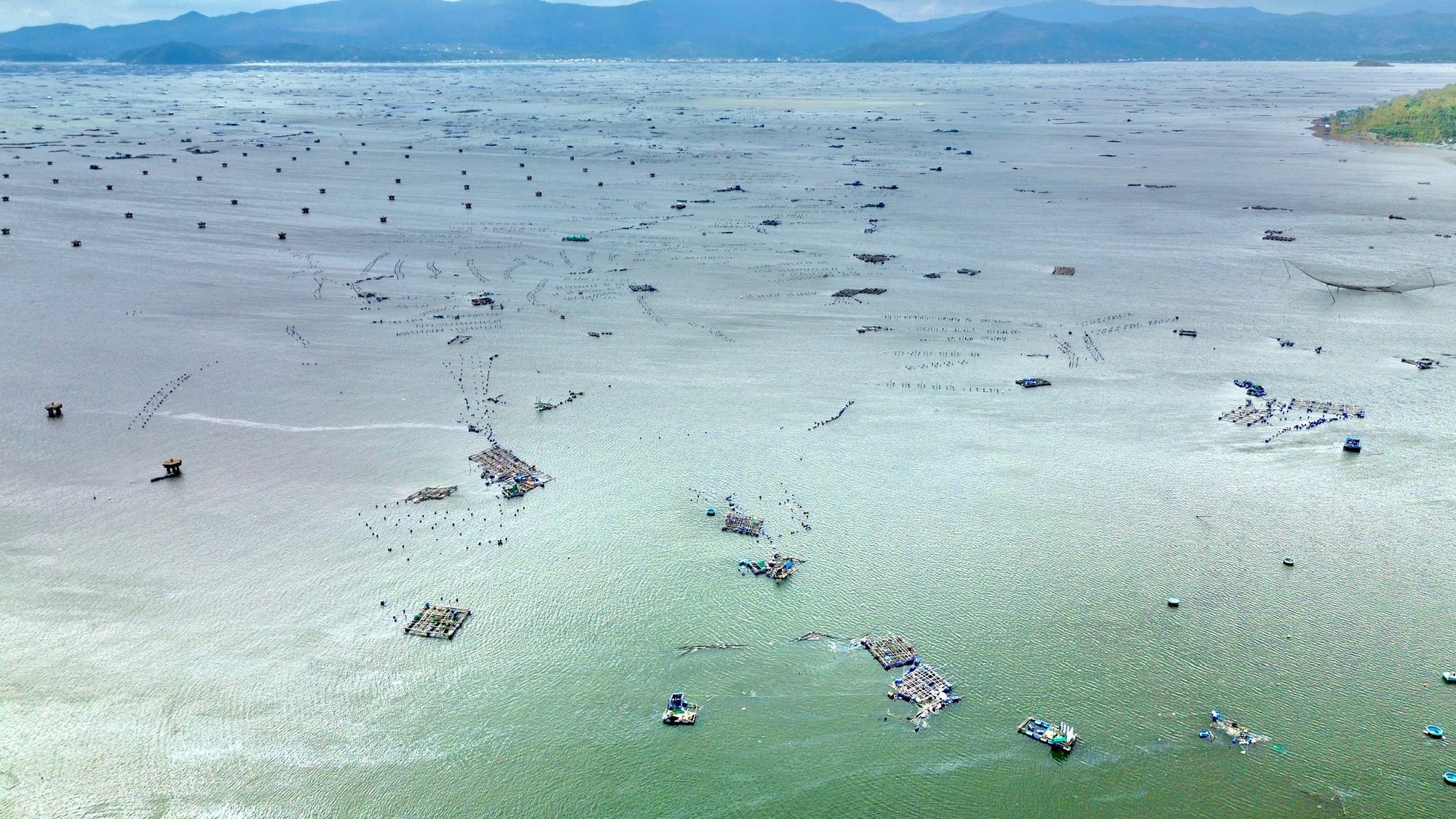 Thủ phủ tôm hùm nỗ lực hồi sinh sau lũ - Ảnh 4.