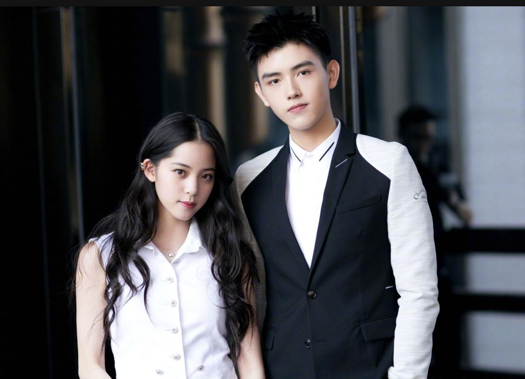 Sự nghiệp của Âu Dương Na Na đang dần sụp đổ - Ảnh 3.