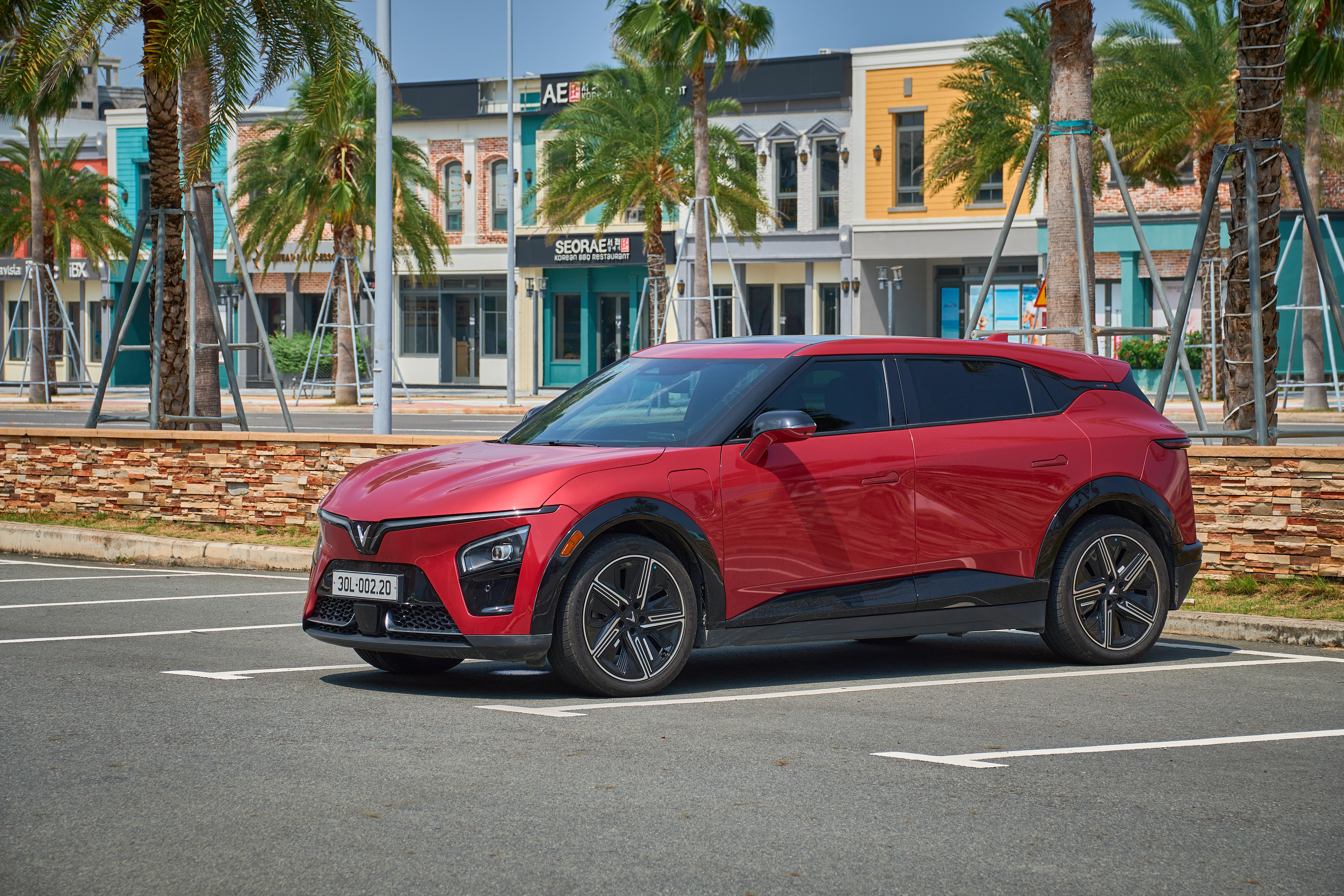 VinFast Limo Green đạt kỷ lục giao gần 10.000 xe trong một tháng - Ảnh 3.