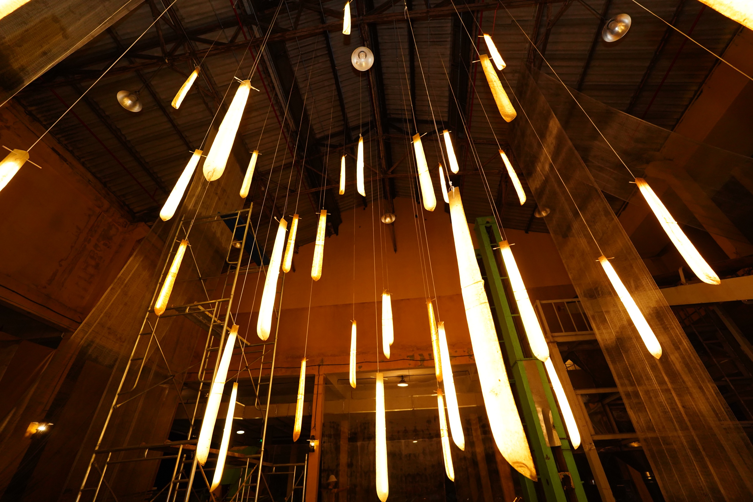 Show thực cảnh tại nhà máy chè trăm tuổi ở Lâm Đồng hút khách du lịch - Ảnh 4.