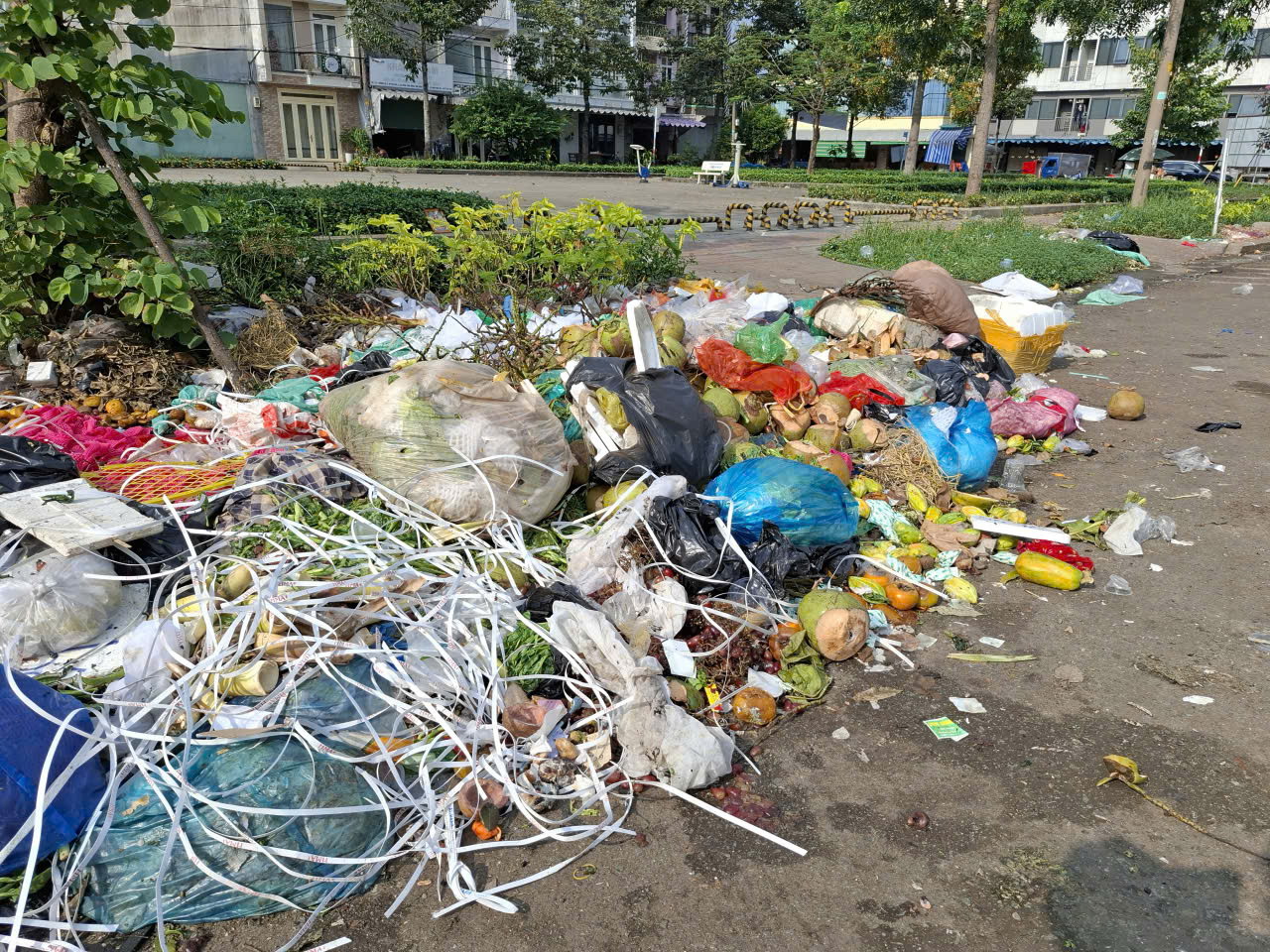 Rác tràn lan gây ô nhiễm đường phố- Ảnh 2. Rác tràn lan gây ô nhiễm đường phố- Ảnh 2.