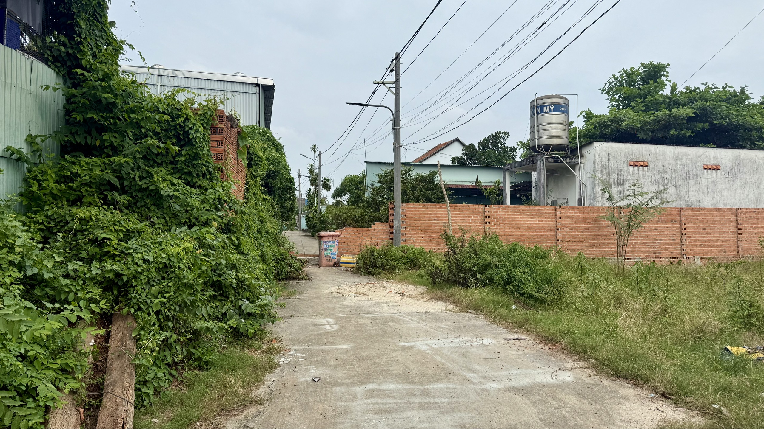 Bức xúc vì đất bị xẻ đôi, chủ đất ở TP.HCM thành bị đơn- Ảnh 2. Bức xúc vì đất bị xẻ đôi, chủ đất ở TP.HCM thành bị đơn- Ảnh 2.