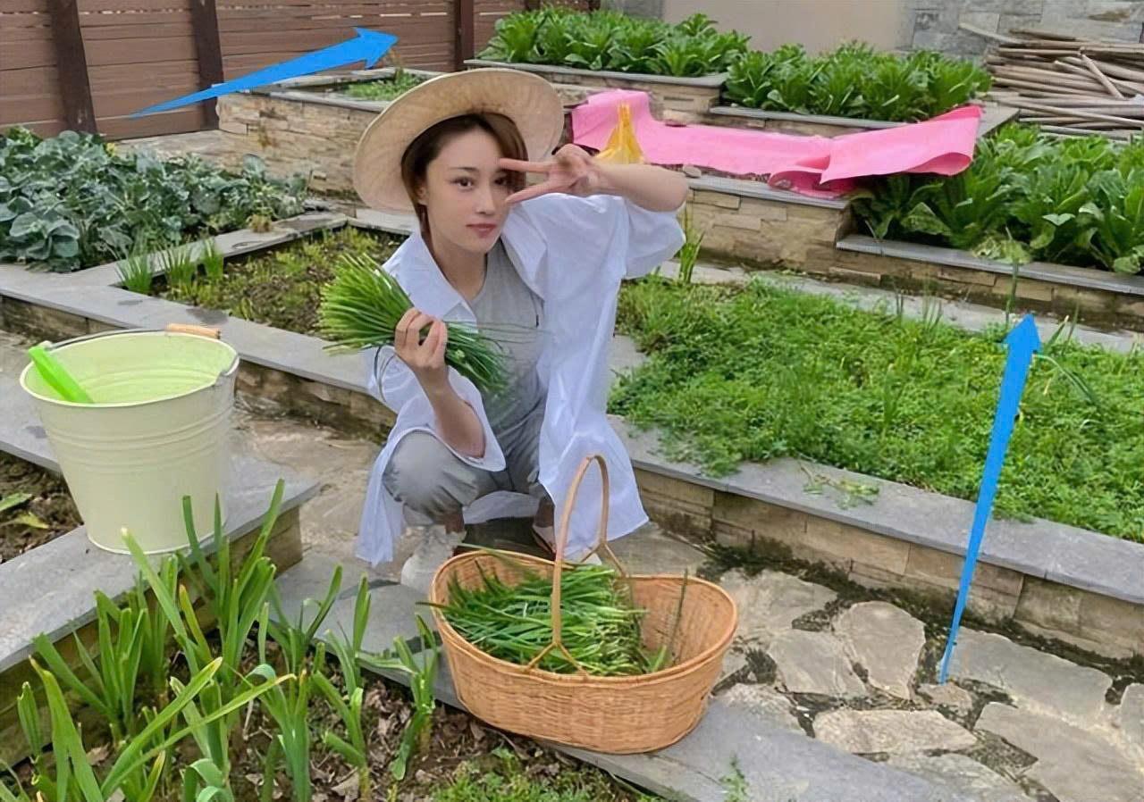 Cuộc sống mới bình yên của Trương Hinh Dư sau nhiều ồn ào - Ảnh 4.