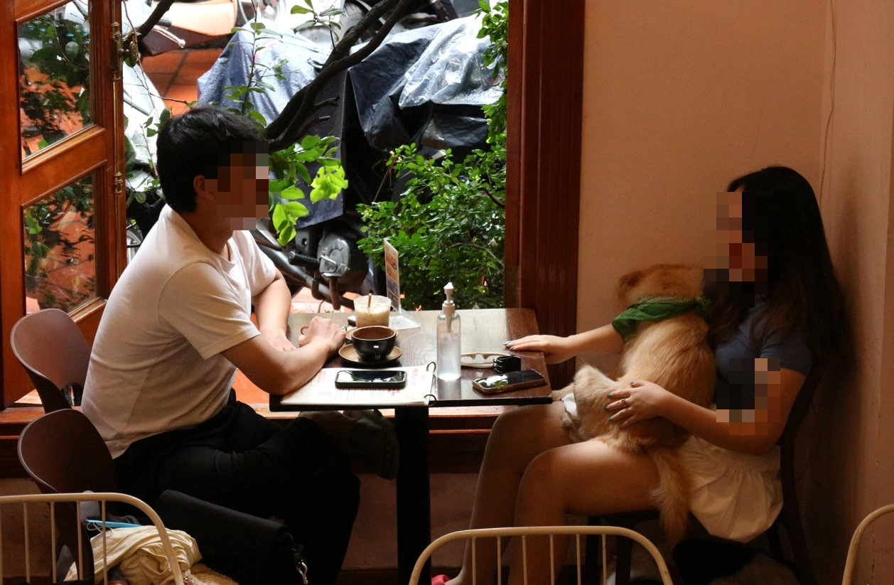 Không yêu, không kết hôn, không sinh con: Người trẻ thấy thích, xã hội lo ngại- Ảnh 2.