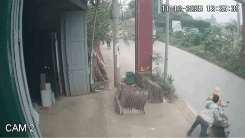 - Ảnh 1. - Ảnh 1.