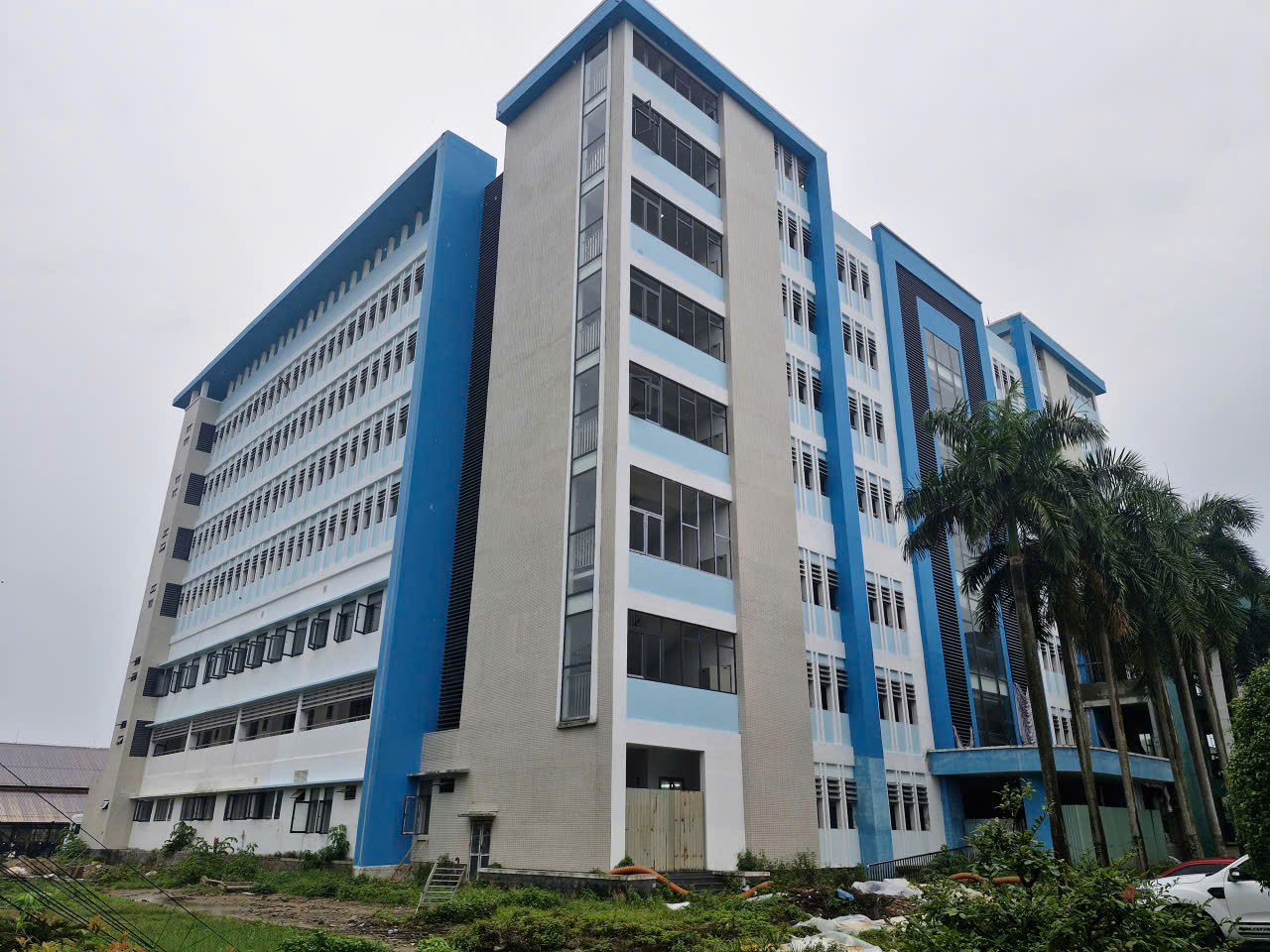 Khuđiều trị kỹ thuật cao trăm tỉ 'bỏ hoang' được nhắc tại kỳ họp HĐND TP.Đà Nẵng - Ảnh 1.