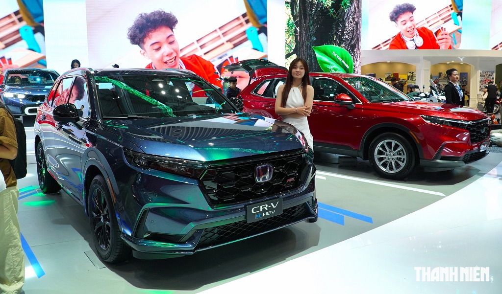 Toyota thống trị cuộc đua doanh số xe hybrid tại Việt Nam - Ảnh 1.