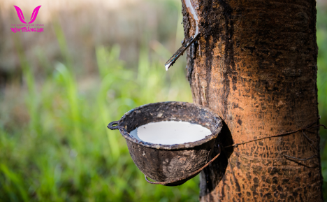 - Ảnh 1. - Ảnh 1.