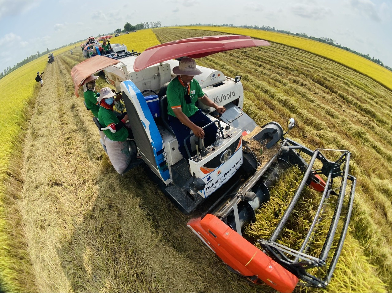 Đón tin vui đầu năm, nông sản sẵn sàng phá kỷ lục 70 tỉ USD - Ảnh 2. Đón tin vui đầu năm, nông sản sẵn sàng phá kỷ lục 70 tỉ USD - Ảnh 2.