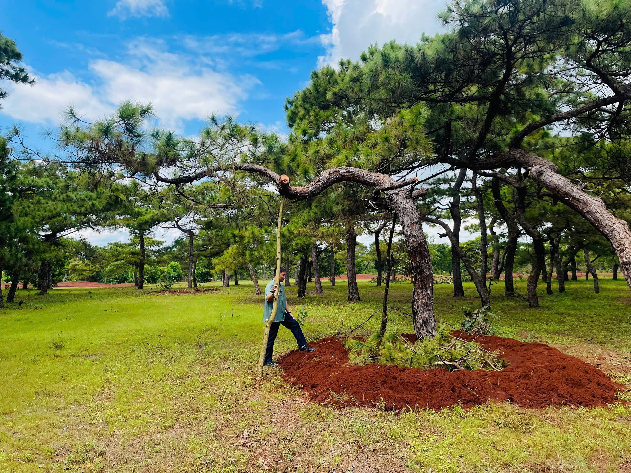Chấp thuận đầu tư sân golf Đăk Đoa hơn 1.150 tỉ đồng- Ảnh 1. Chấp thuận đầu tư sân golf Đăk Đoa hơn 1.150 tỉ đồng- Ảnh 1.