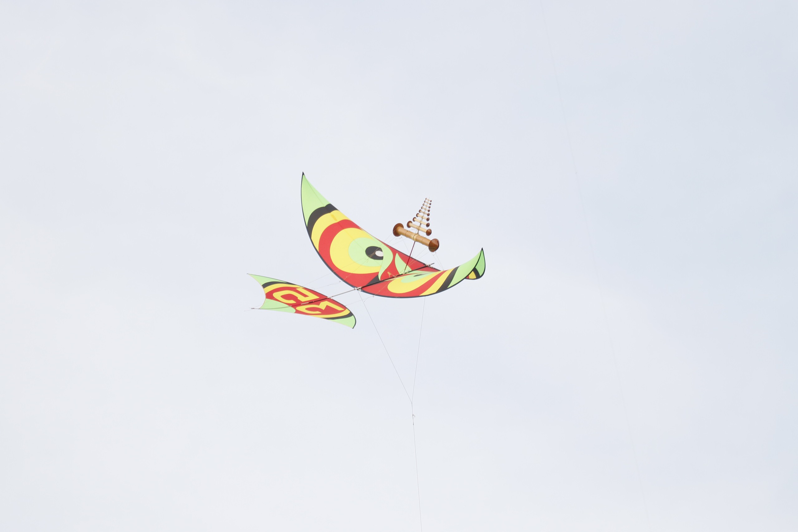 Hàng ngàn người đổ về Đồng Nai khám phá lễ hội diều sáo nghệ thuật - Ảnh 17.