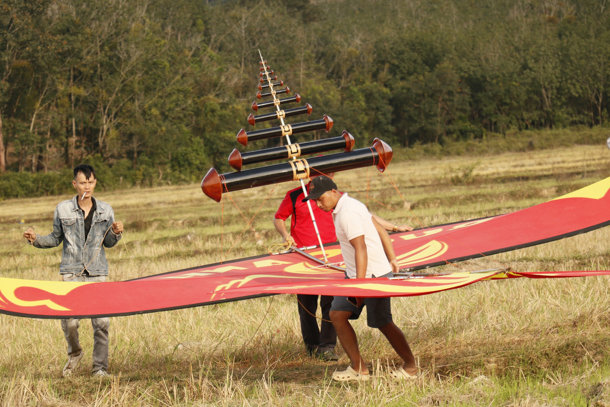 Hàng ngàn người đổ về Đồng Nai khám phá lễ hội diều sáo nghệ thuật - Ảnh 5.