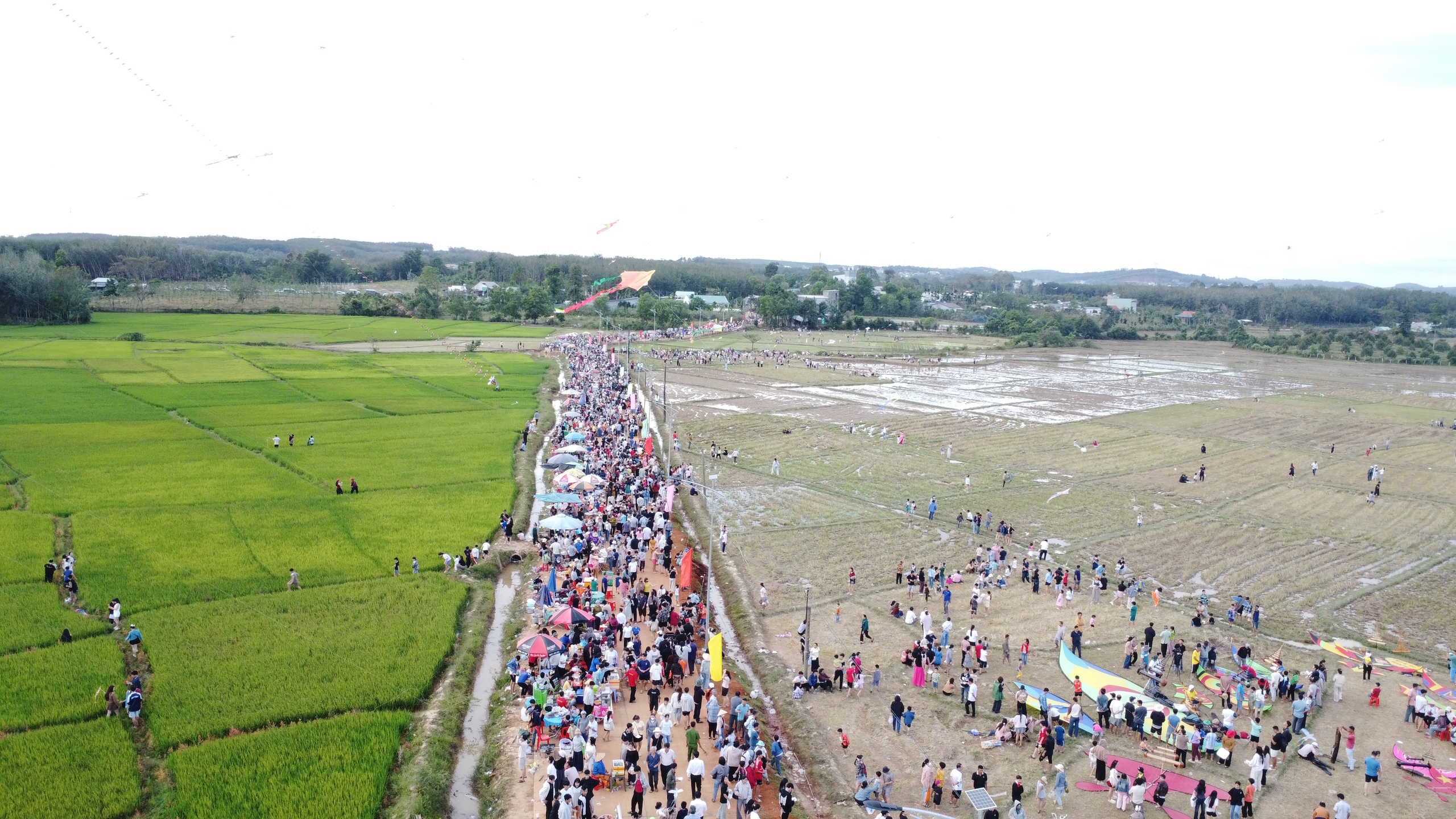 Hàng ngàn người đổ về Đồng Nai khám phá lễ hội diều sáo nghệ thuật - Ảnh 8.
