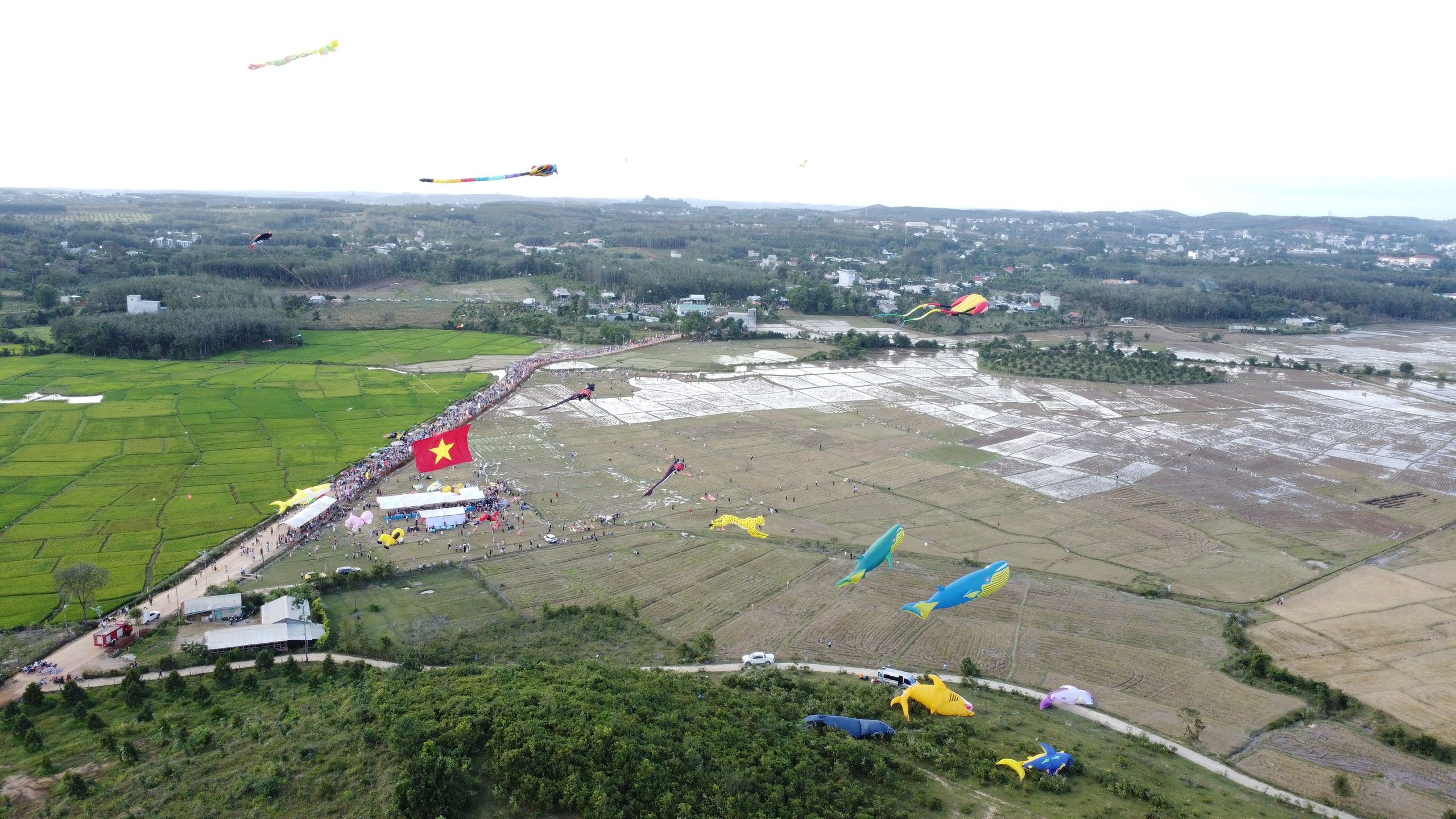 Hàng ngàn người đổ về Đồng Nai khám phá lễ hội diều sáo nghệ thuật - Ảnh 18.