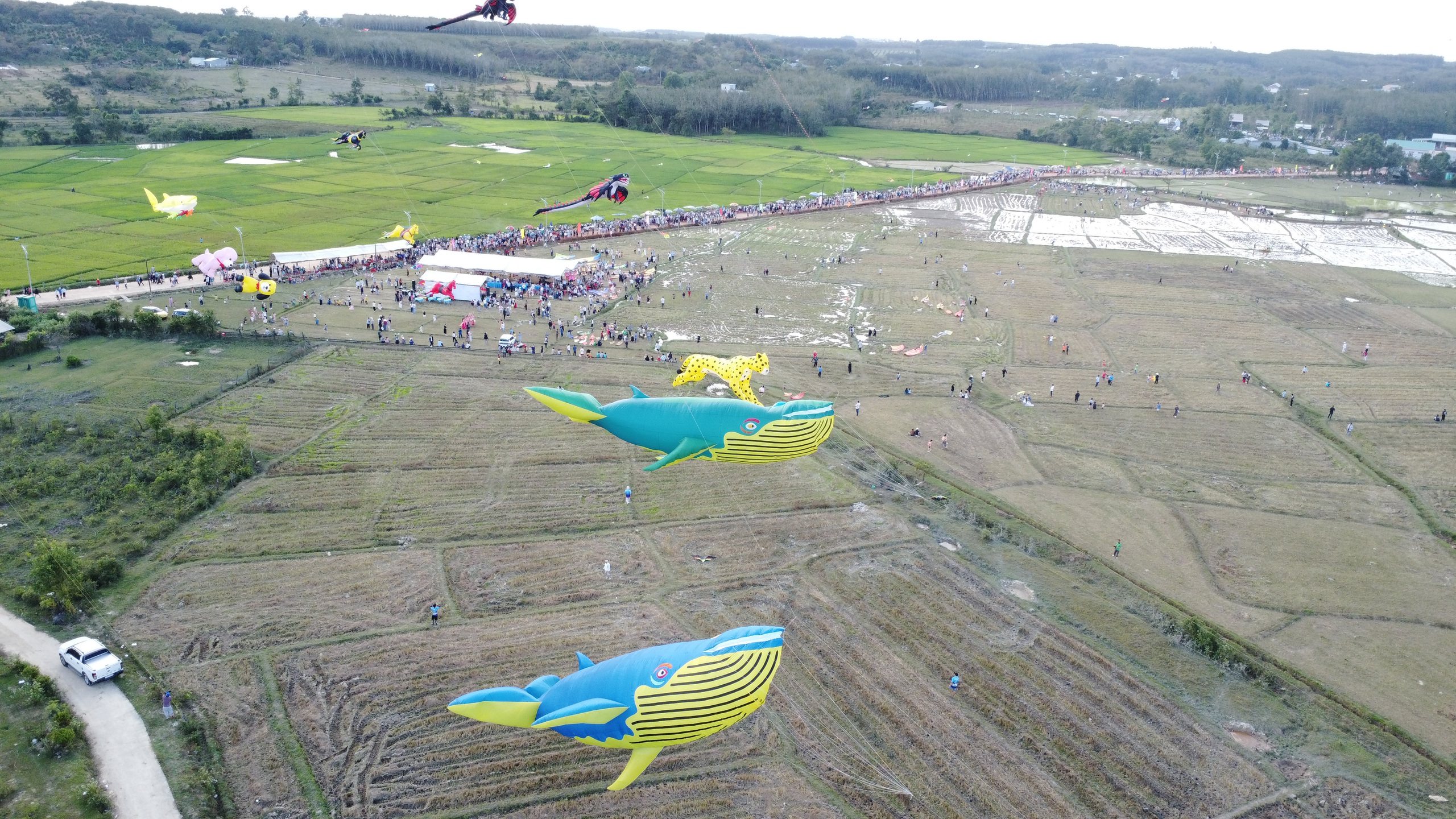 Hàng ngàn người đổ về Đồng Nai khám phá lễ hội diều sáo nghệ thuật - Ảnh 15.