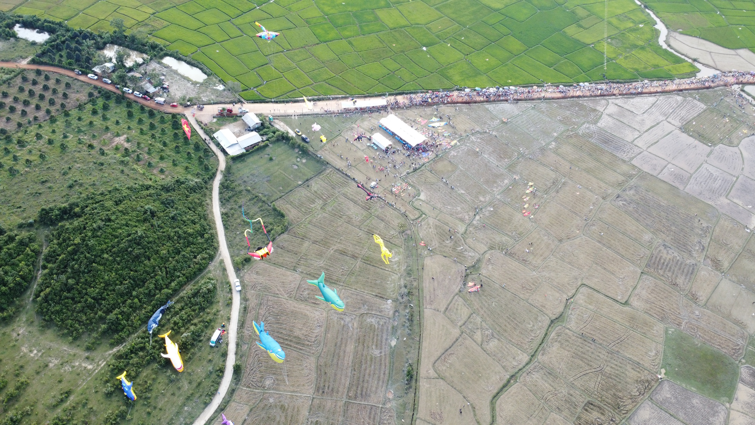 Hàng ngàn người đổ về Đồng Nai khám phá lễ hội diều sáo nghệ thuật - Ảnh 16.