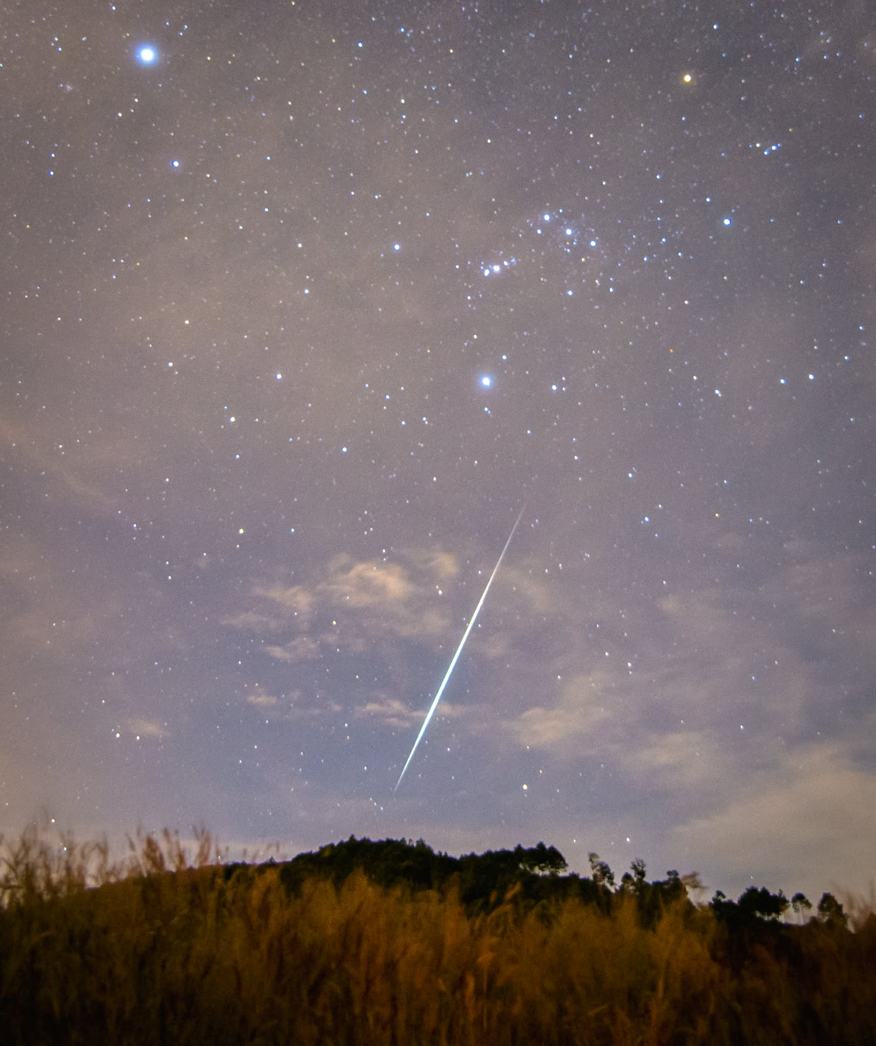 Cả nhà 'bắt' mưa sao băng cực đại ở Tà Nung: Phấn khích thấy 'quả cầu lửa' - Ảnh 1.