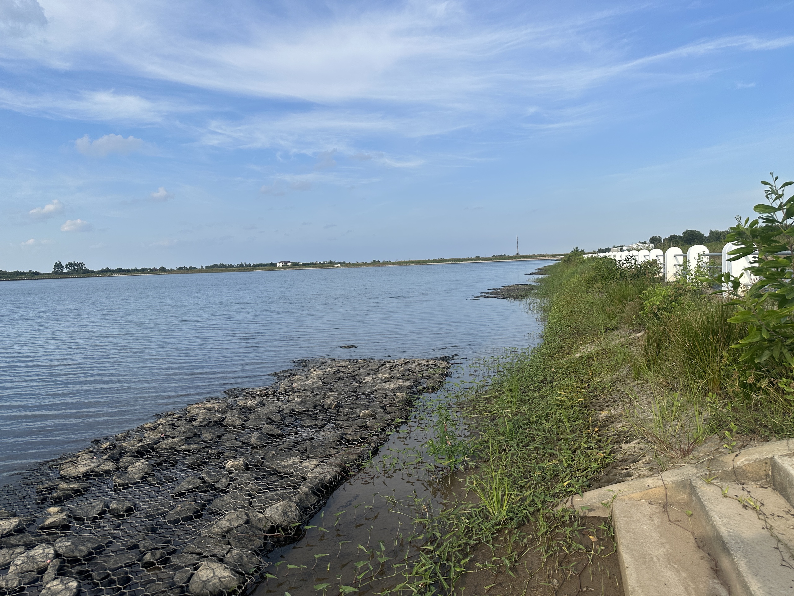 Cà Mau kết luận 12 dự án trong thanh tra chuyên đề theo Thanh tra Chính phủ   - Ảnh 1.