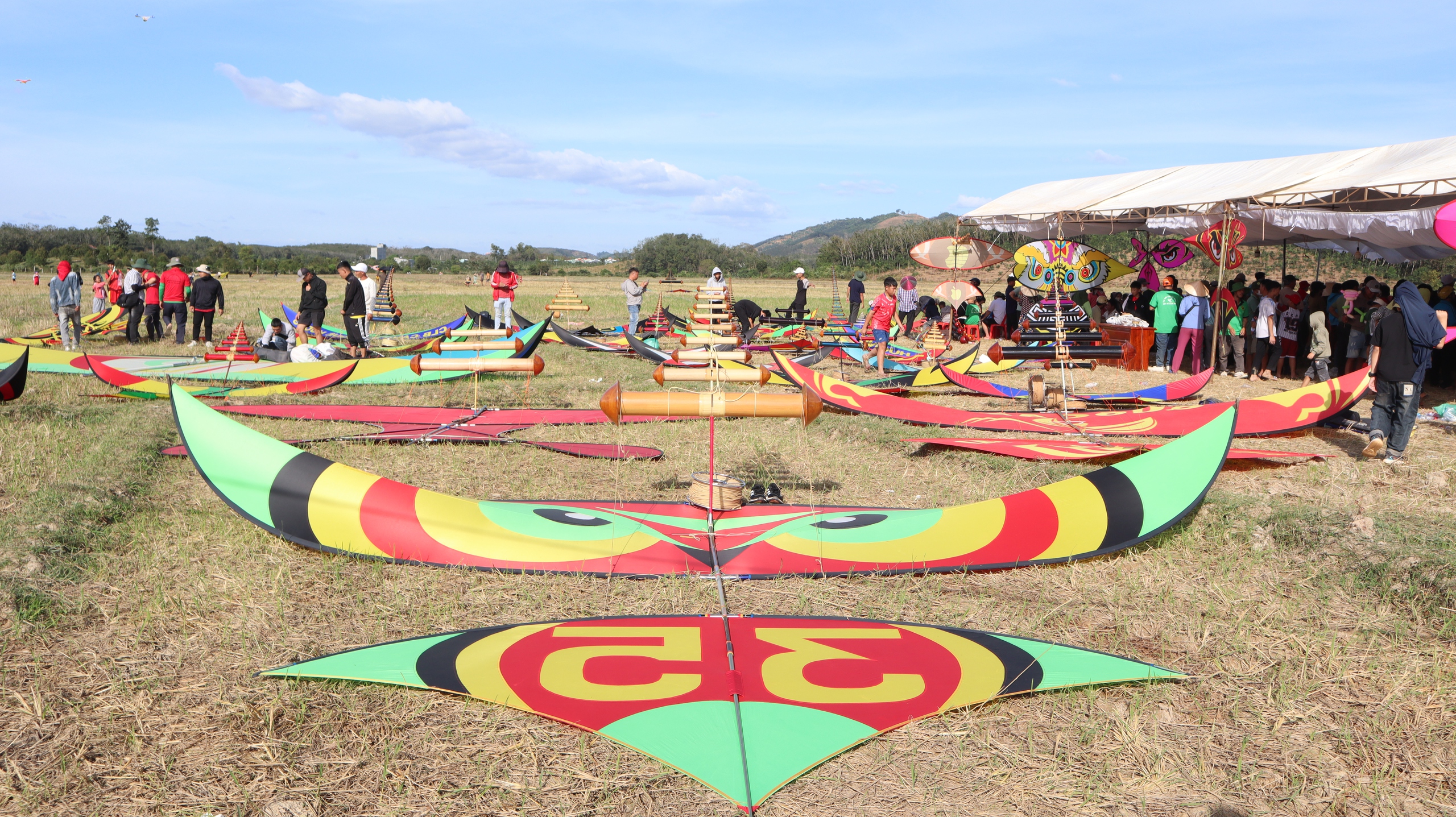 Hàng ngàn người đổ về Đồng Nai khám phá lễ hội diều sáo nghệ thuật - Ảnh 1.