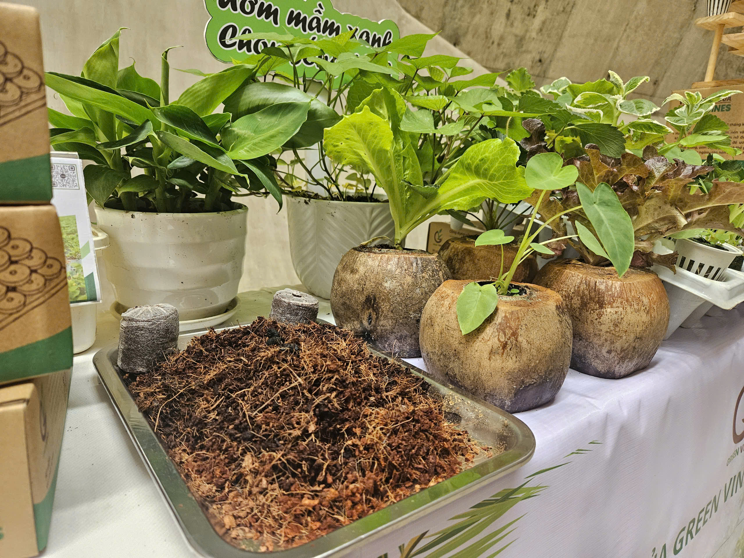 Cùng sống xanh số 138: Xóa rác nhựa trên vườn, - Ảnh 1.