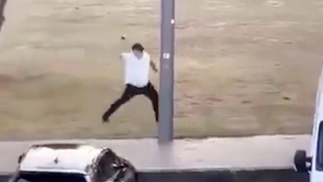 - Ảnh 1. - Ảnh 1.