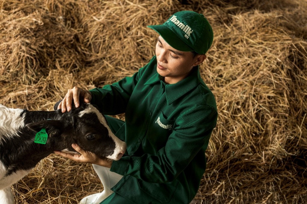 Sữa Tươi A2 - Dưỡng Chất Quý Cho Trẻ Hay Hiệu Ứng Truyền Thông? - Ảnh 2.