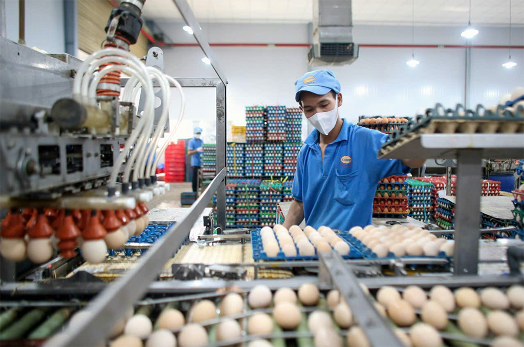 Giá hàng thiết yếu nhấp nhổm tăng- Ảnh 1.