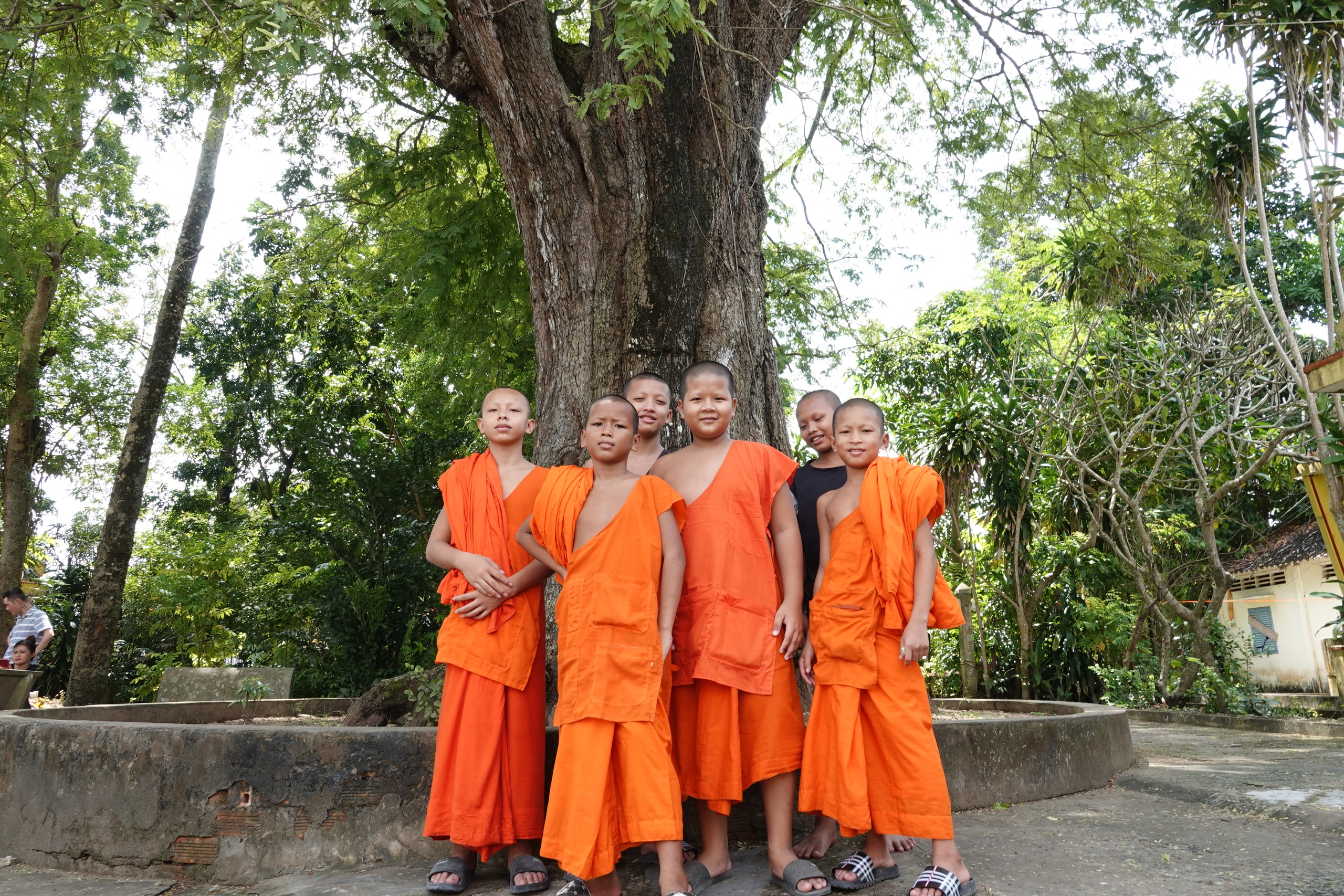 Cặp me cổ thụ h&agrave;ng trăm năm tuổi - b&aacute;u vật của ng&ocirc;i ch&ugrave;a Khmer miền T&acirc;y- Ảnh 3.