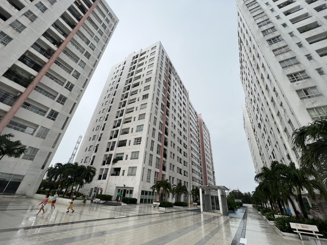 Chủ tịch UBND TP.HCM chỉ đạo xử lý các vướng mắc trong quản lý chung cư   - Ảnh 1.