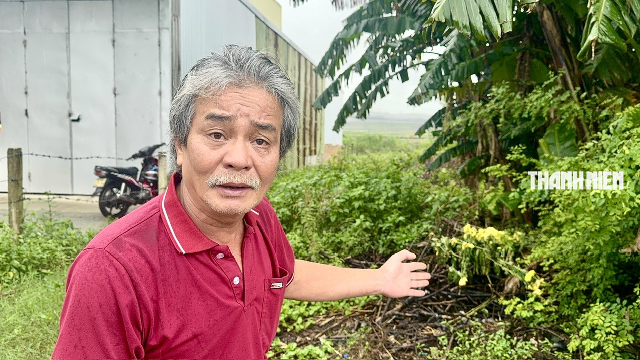 Trúng đấu giá nhưng 18 năm không thấy đất: ‘Soi’ góc độ quản lý, pháp lý- Ảnh 3. Trúng đấu giá nhưng 18 năm không thấy đất: ‘Soi’ góc độ quản lý, pháp lý- Ảnh 3.