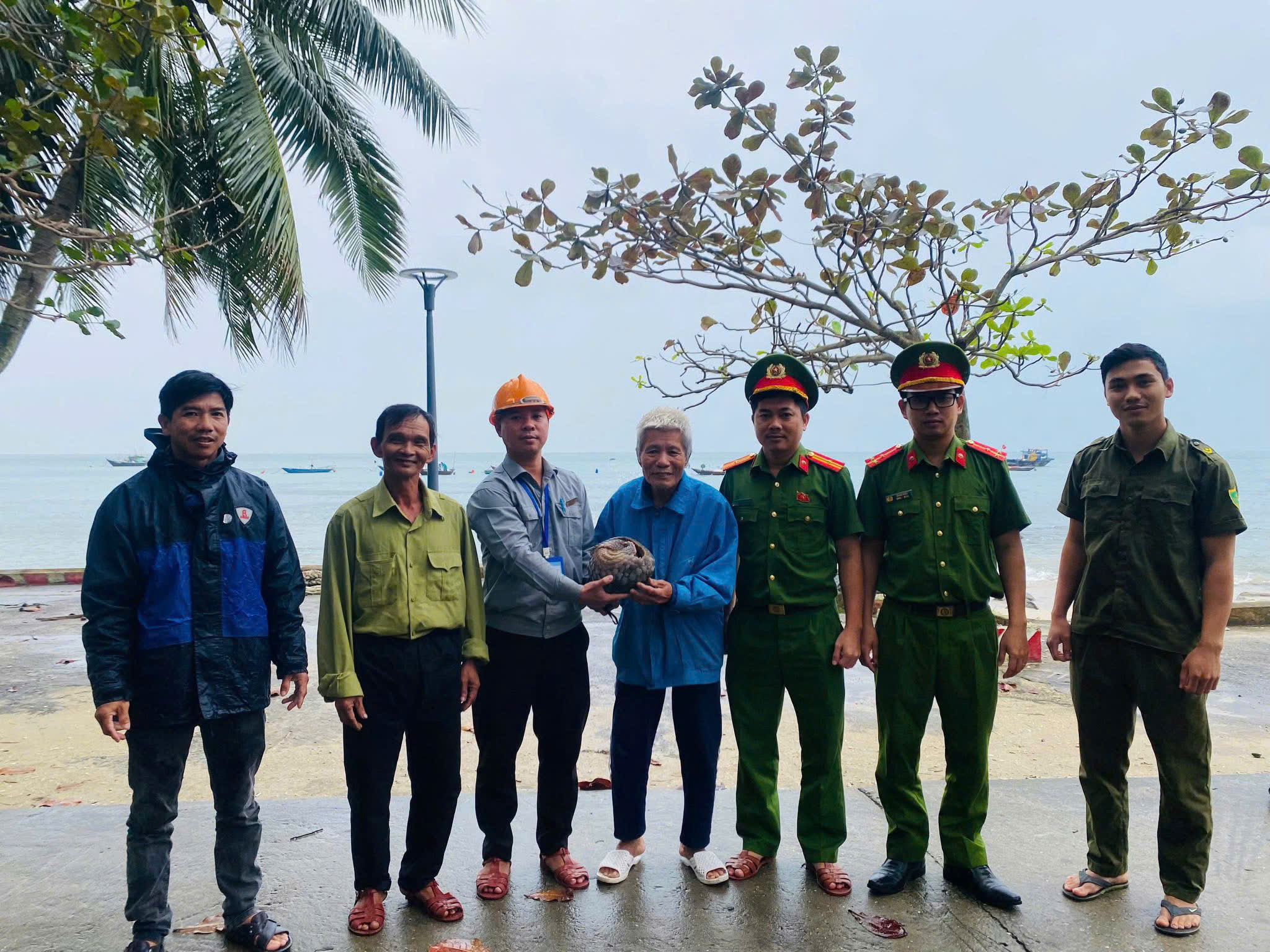 Đà Nẵng: Cá thể tê tê quý hiếm lạc vào nhà dân ở đảo Cù Lao Chàm - Ảnh 2.