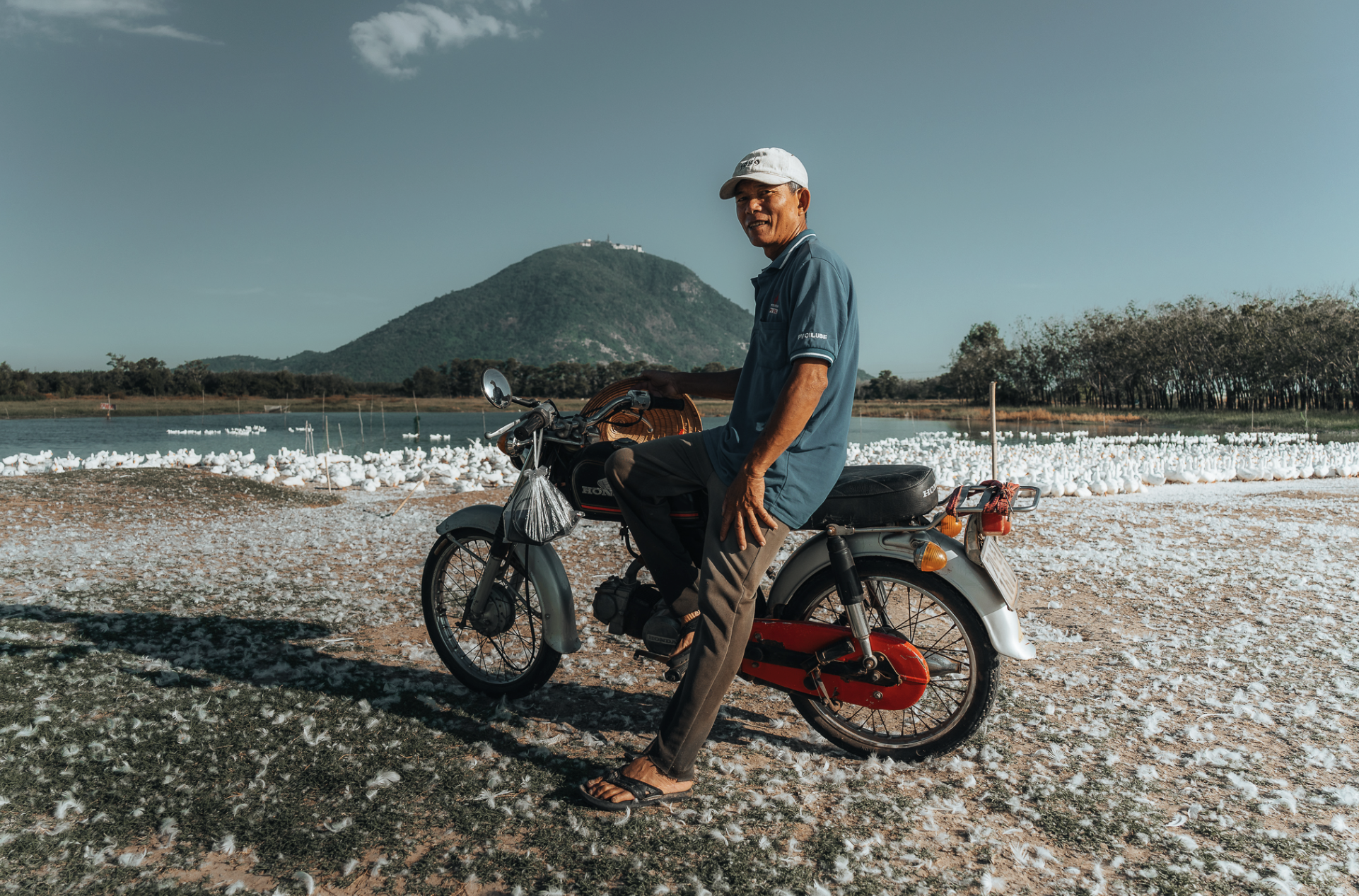 Dưới ch&acirc;n n&uacute;i B&agrave; Đen: Chuyện bầy vịt đồng trắng như tuyết  'bao v&acirc;y' chủ g&acirc;y sốt  - Ảnh 7.