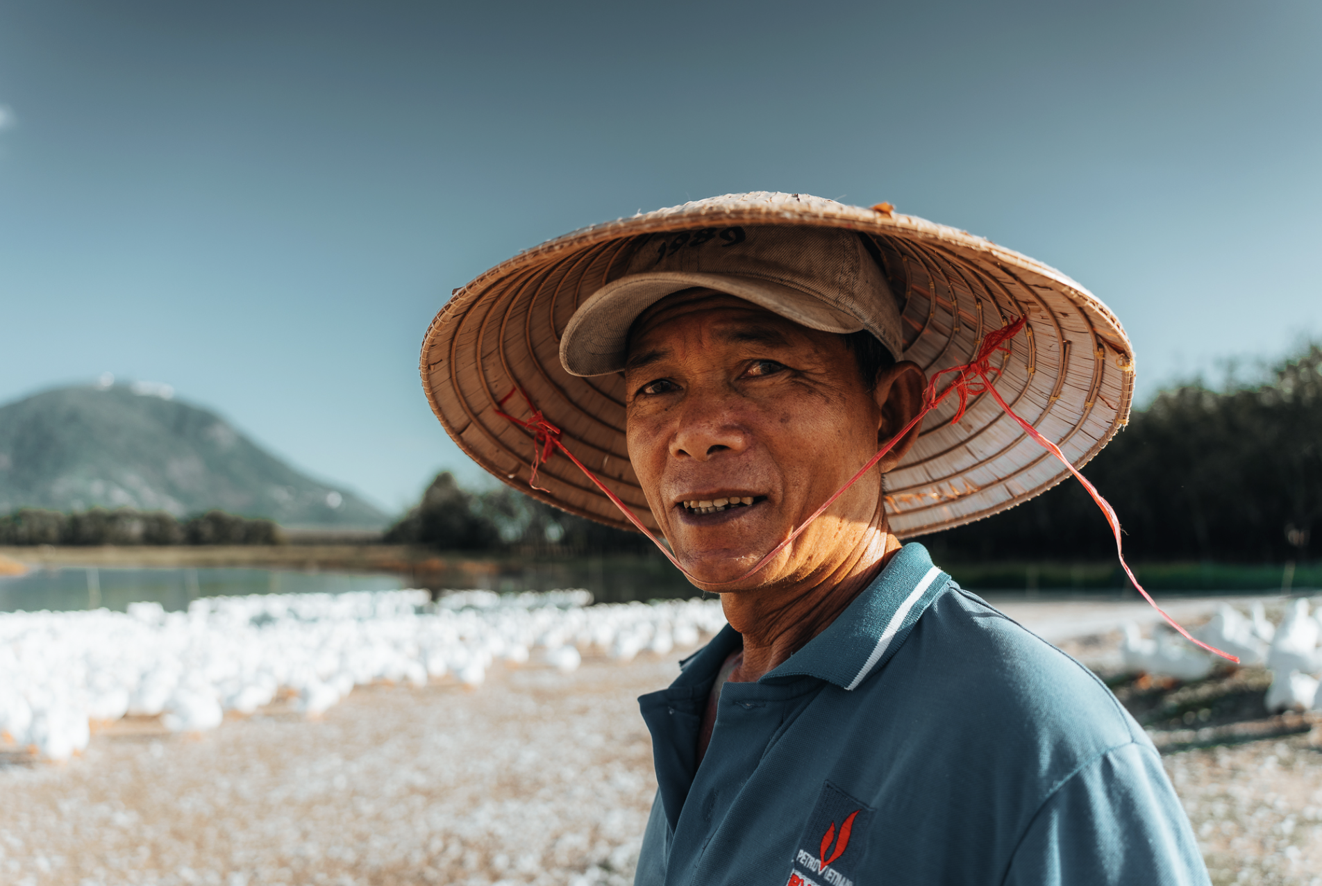 Dưới ch&acirc;n n&uacute;i B&agrave; Đen: Chuyện bầy vịt đồng trắng như tuyết  'bao v&acirc;y' chủ g&acirc;y sốt  - Ảnh 8.