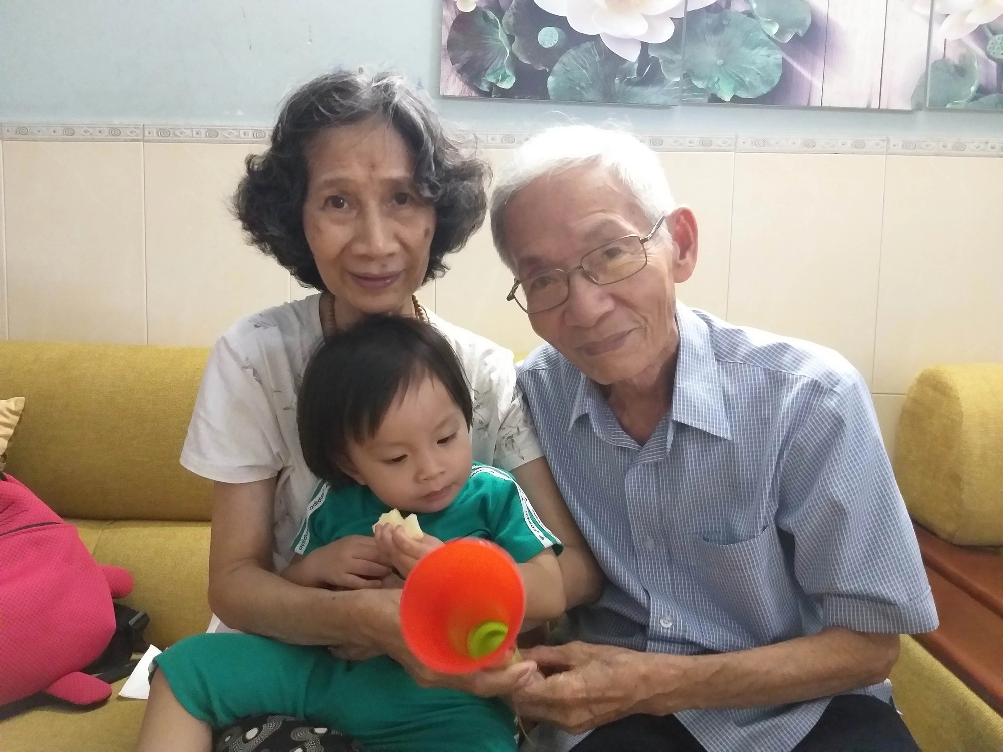 - Ảnh 1. - Ảnh 1.